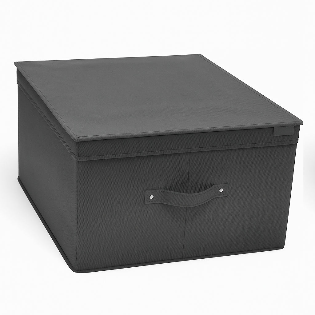 Scatole Cambio Stagione TNT Pieghevoli 60x50x30cm kit 2 pezzi Salvaspazio con Maniglie