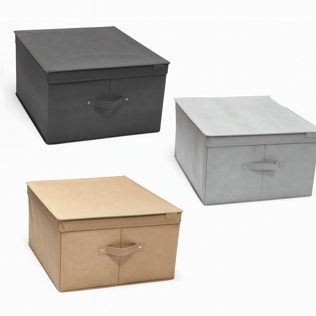 Scatole Cambio Stagione TNT Pieghevoli 60x50x30cm kit 2 pezzi Salvaspazio con Maniglie