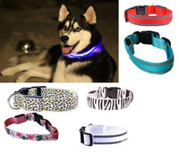 5X COLLARE PER CANE CANI A LED LUMINOSO TG S/M/L SICUREZZA LED NOTTURNO CLIP FANTASIA Taglia: L