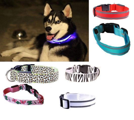 5X COLLARE PER CANE CANI A LED LUMINOSO TG S/M/L SICUREZZA LED NOTTURNO CLIP FANTASIA Taglia: L