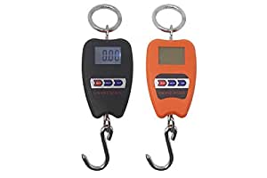 Bilancia Digitale Professionale Industriale Gancio Dinamometro Molla 200 kg