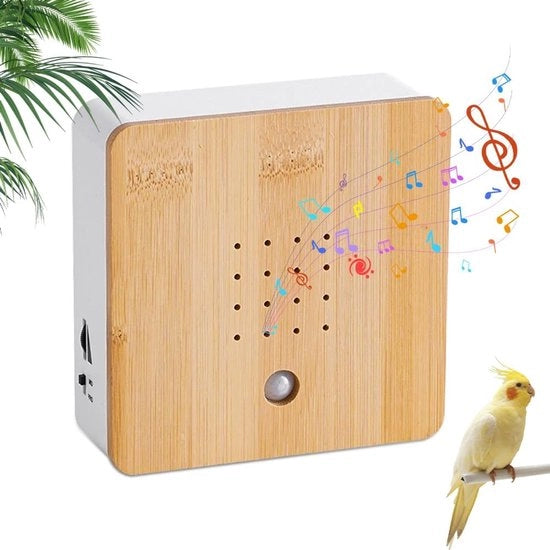 Magnetometro con cassa sonora naturale - magnetometro per il canto degli uccelli - supporto a parete - cassa sonora naturale con canzoni degli uccelli e rumore di fonte