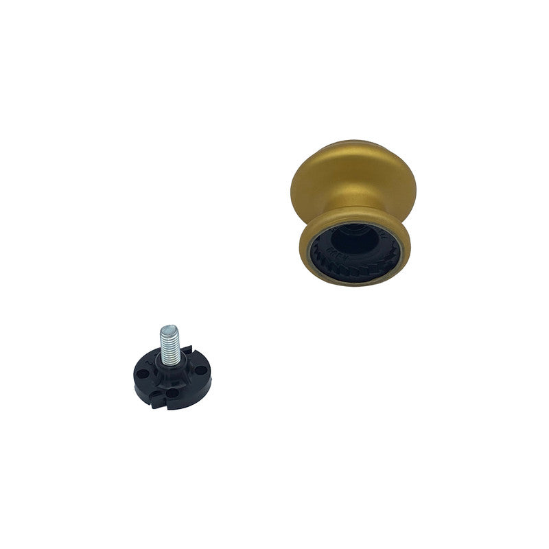 Pomolo fisso per porta SAGUATTI 178/60FB in alluminio oro satinato