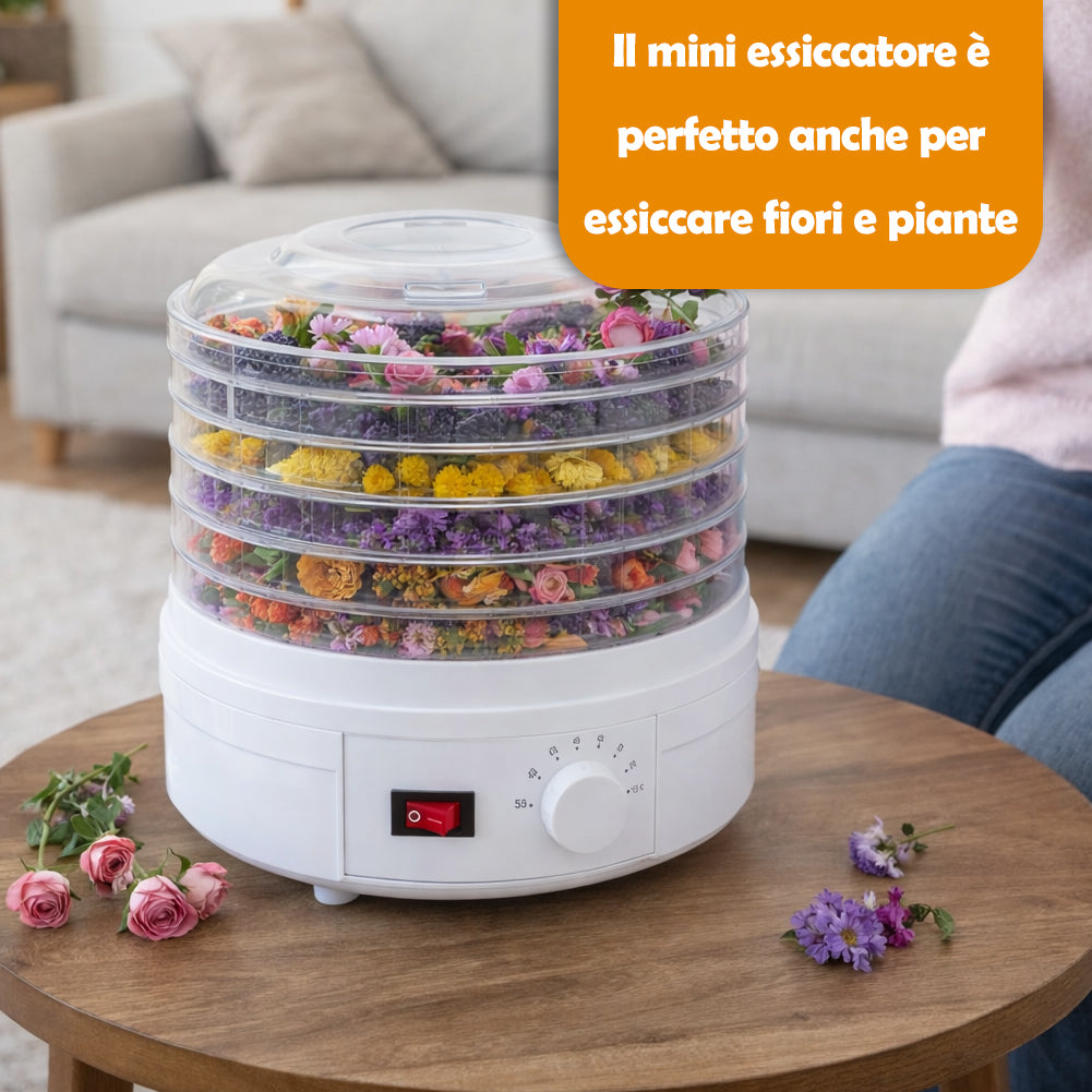 Mini Essiccatore Elettrico per Cibo e Fiori con 5 Scomparti e Coperchio 35°-70°