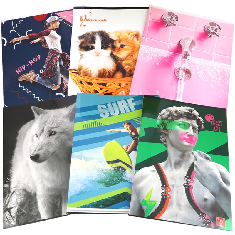 1 QUADERNO 40FF+2 CON RISGUARDO CARTA 80GR - COPERTINA 200GR ASSORTITO