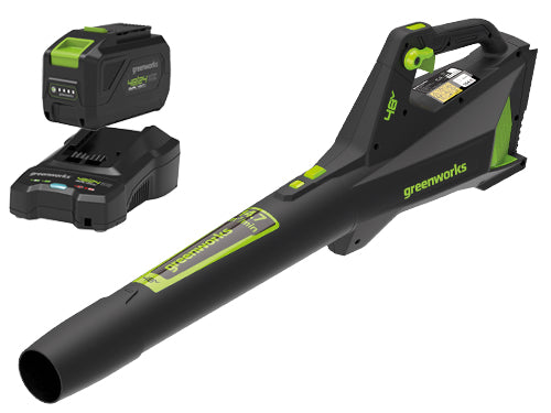 GREENWORKS SOFFIATORE ASS. 48V KIT GD48ABK2