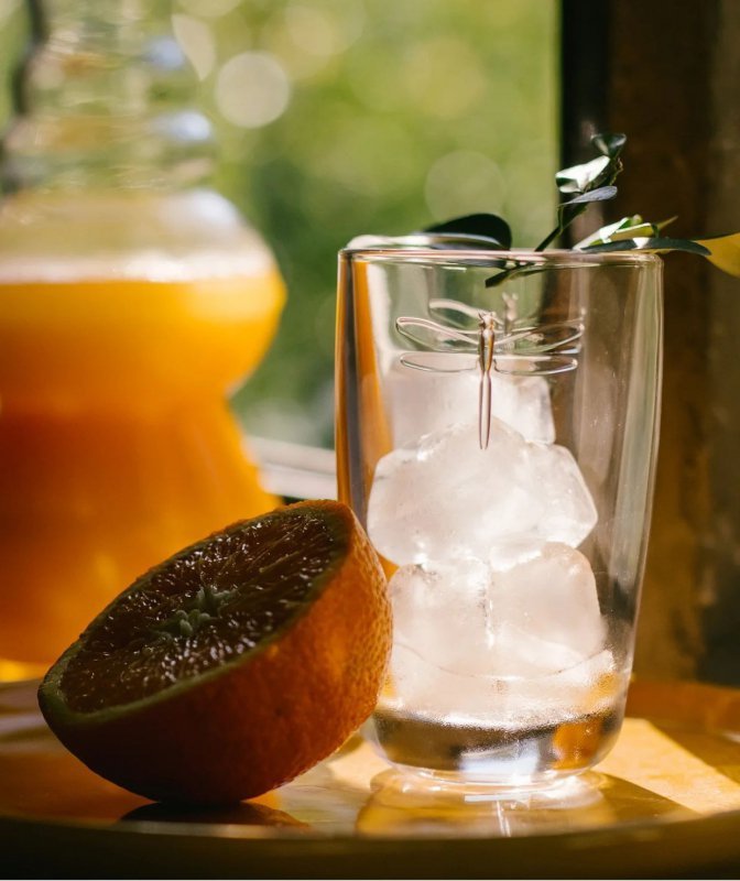 Bicchiere La Rochere Dragonfly 390 ml Collezione Libellules Drinkware