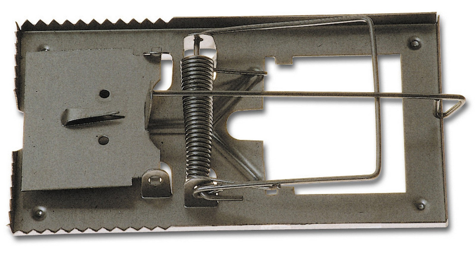 trappola per topi tipo piccolo cod:ferx.17901