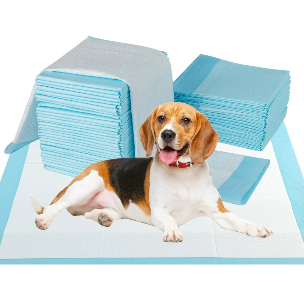 Tappetini per animali domestici a 6 strati a prova di perdite-Asciugatura rapida tappetini da interno ed esterno 90 x 60 cm Blu