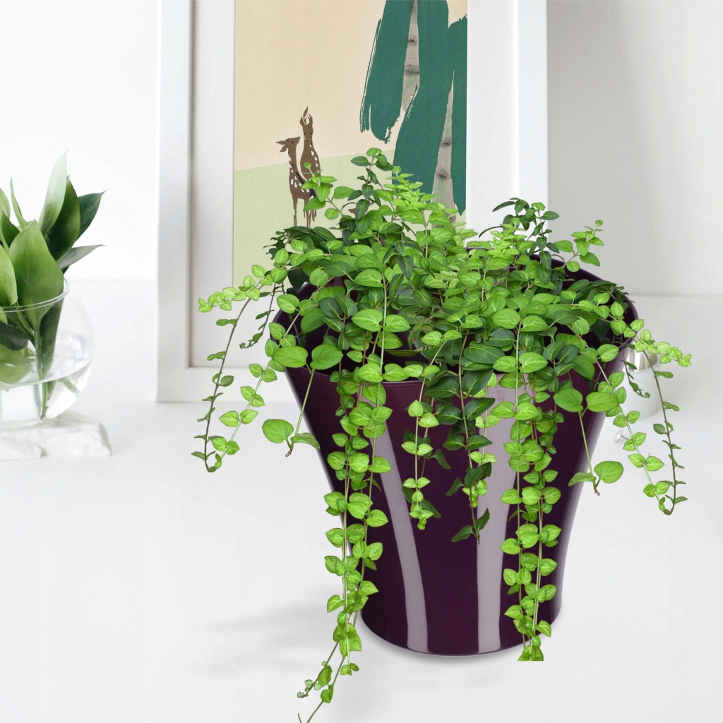 KADAX - Copertura per vaso da fiori in plastica viola, 16 cm