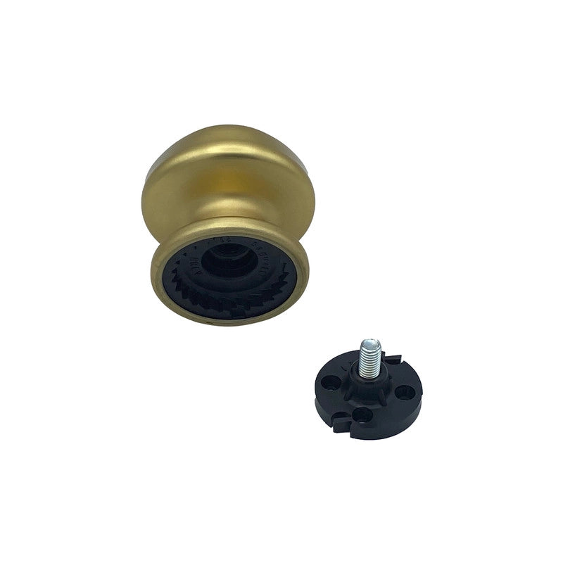 Pomolo fisso per porta SAGUATTI 172/70FB in alluminio oro satinato