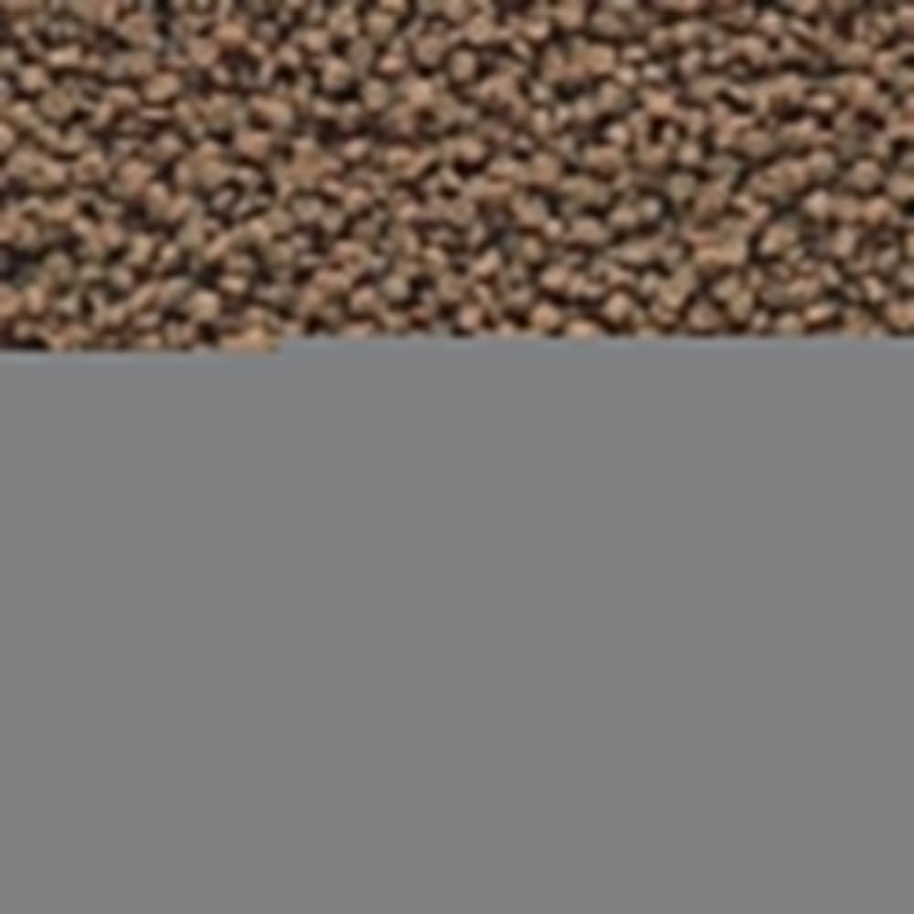 Hikari Tropical Micro Wafers - Alimento Completo Ideale per  Specie Vivipare Ciclidi e Pesce Gatto Formato: 20 gr