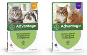 Bayer ANTIPARASSITARIO ADVANTAGE PER GATTI E CONIGLI superiori a kg. 4 (4 pipette)