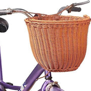 Cesto per bicicletta con cane davanti