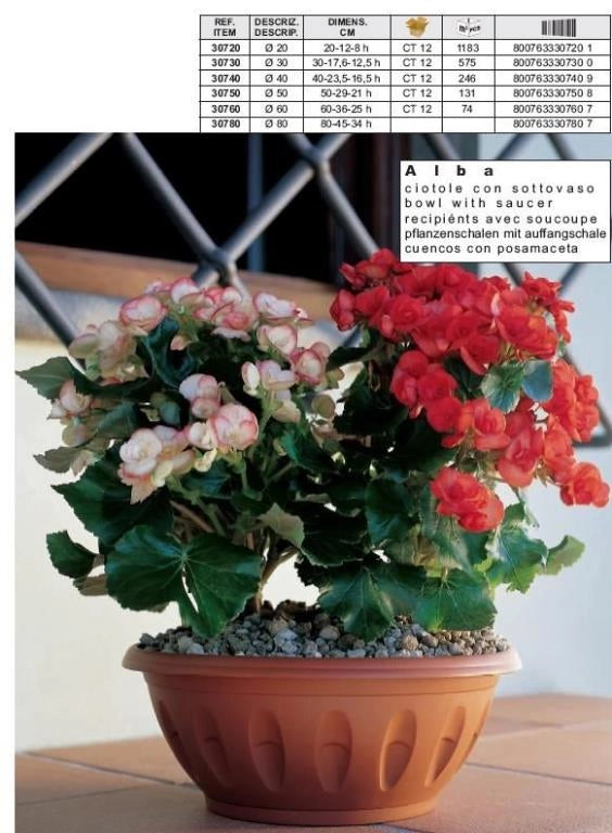 Ciotola Vaso per Piante da Esterno Giardino con riserva alba Terraccotta 25 cm