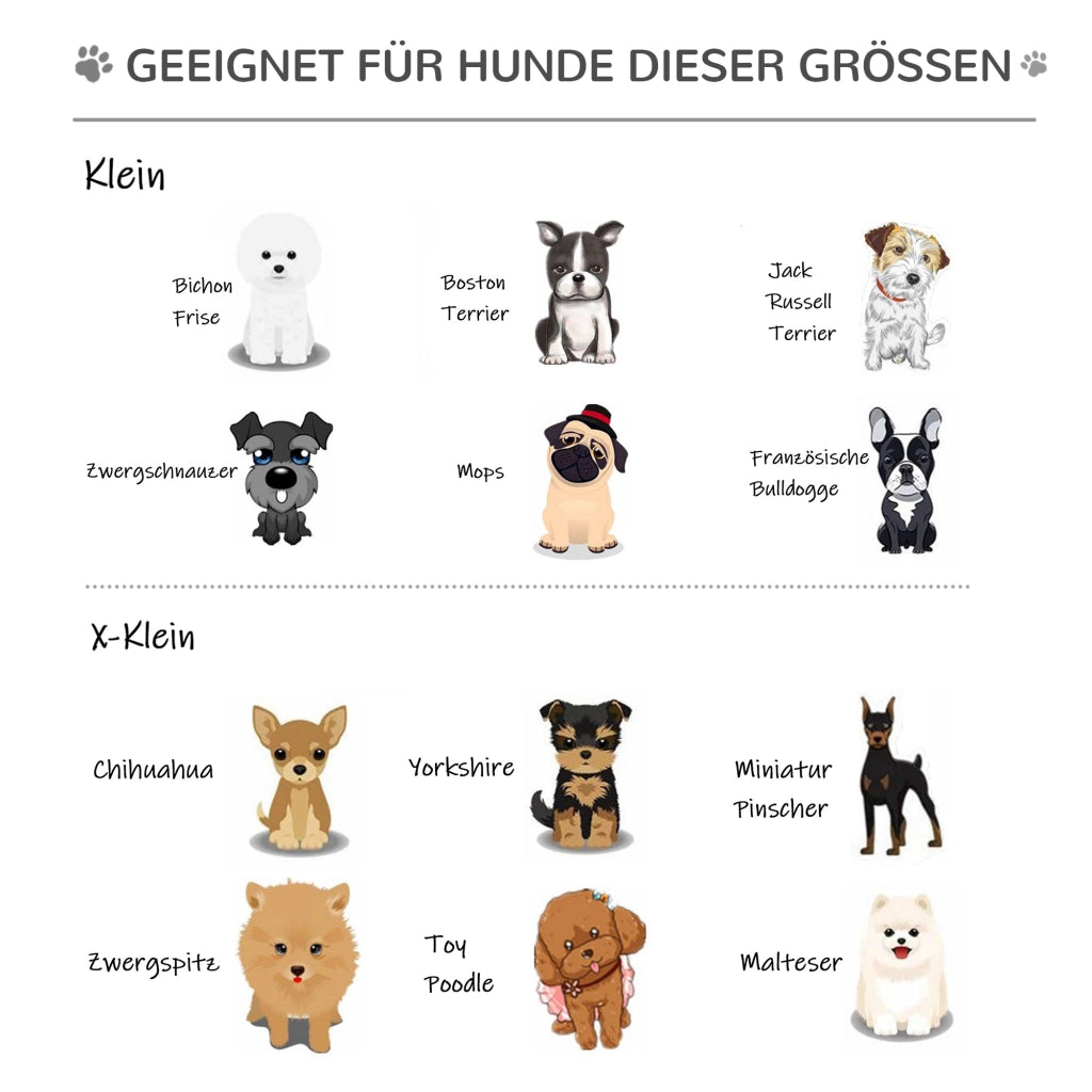 Scaletta per Animali Domestici Pieghevole ¨C Xylo ¨C 2 Gradini 20cm Grigio