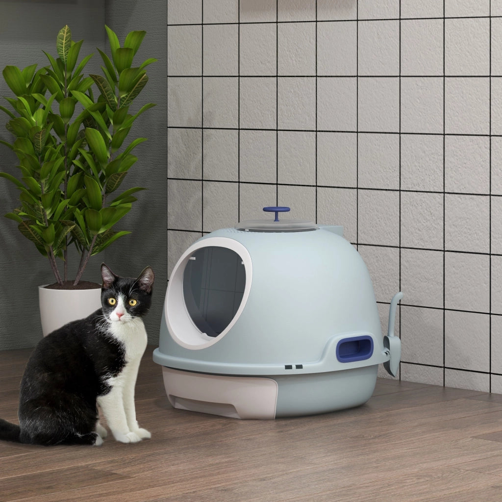 Lettiera per Gatti Chiusa con Vassoio Estraibile, 2 Ingressi e Paletta, 47x55x44 cm, Azzurro