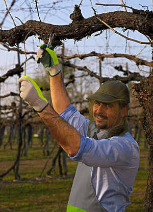 Retina Ripara Insetti con Cappello Rama Verde