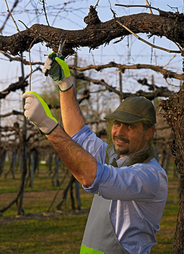 Retina Ripara Insetti con Cappello Rama Verde