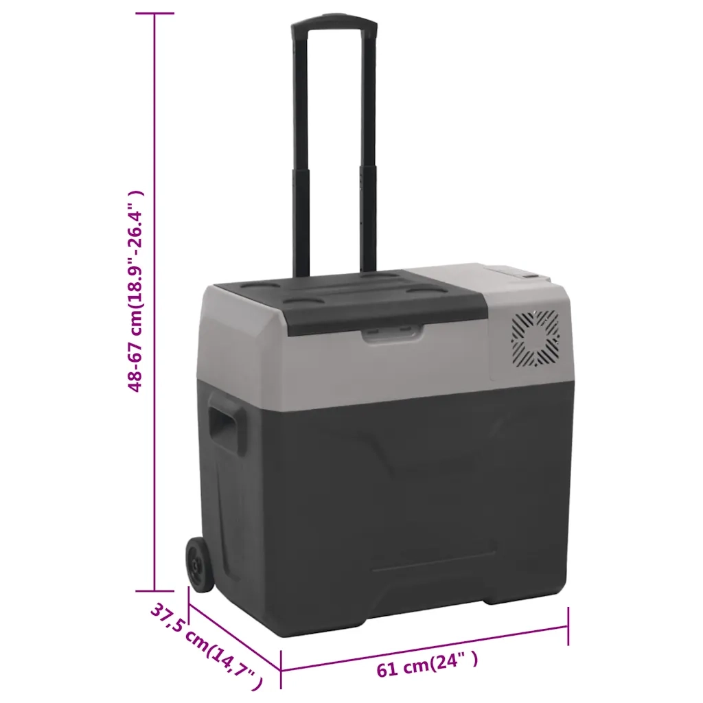Borsa Frigo con Manico e Ruote Nera e Grigia 40 L Polipropilene CFW7809126