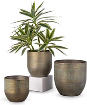 Set di 3 vasi zincati per decorazione moderna - Ideali per interni ed esterni