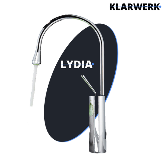 Lydia | Rubinetto per bagno cromato Hotel Gastro | Rubinetto in acciaio inox per lavelli alti|miscelatore 2 attacchi Raccordo ad alta pressione alto |