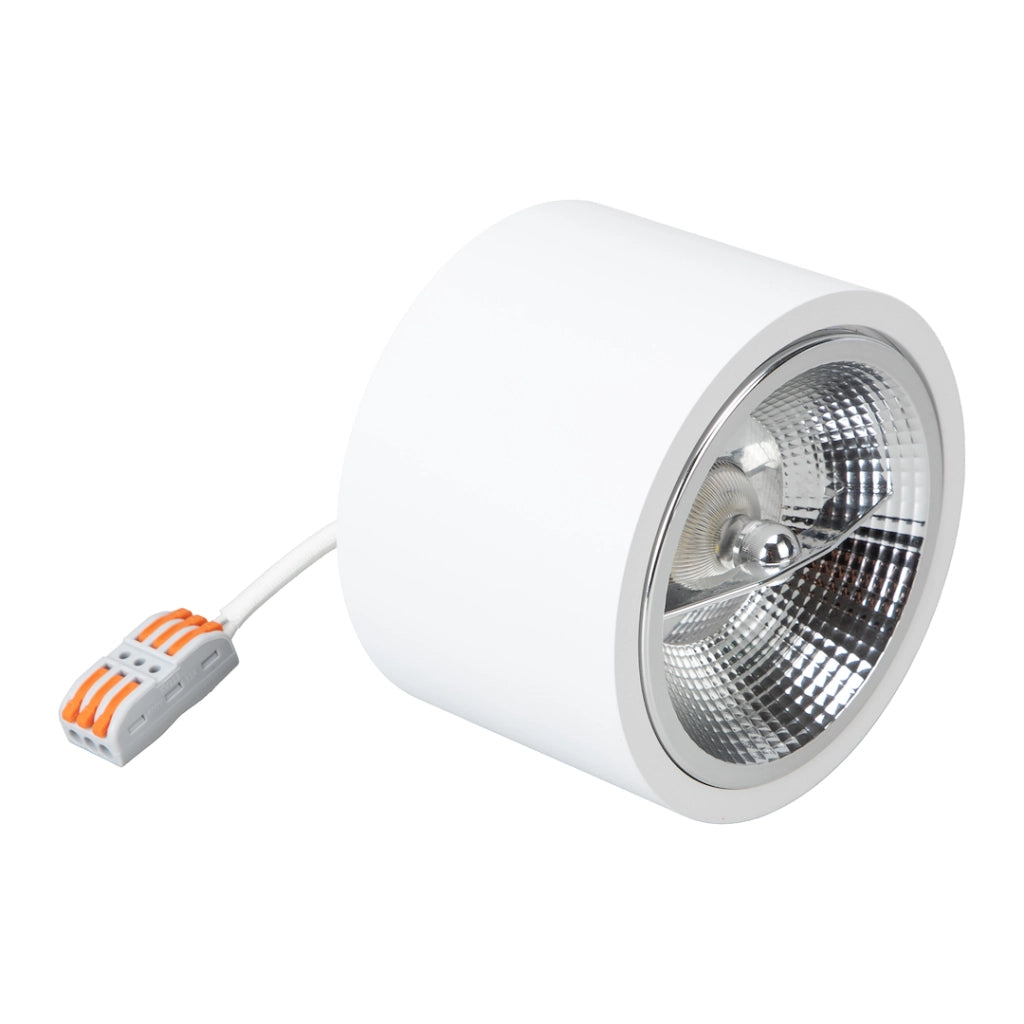 Faretto plafone esterno tondo bianco AR111 15W Milagro