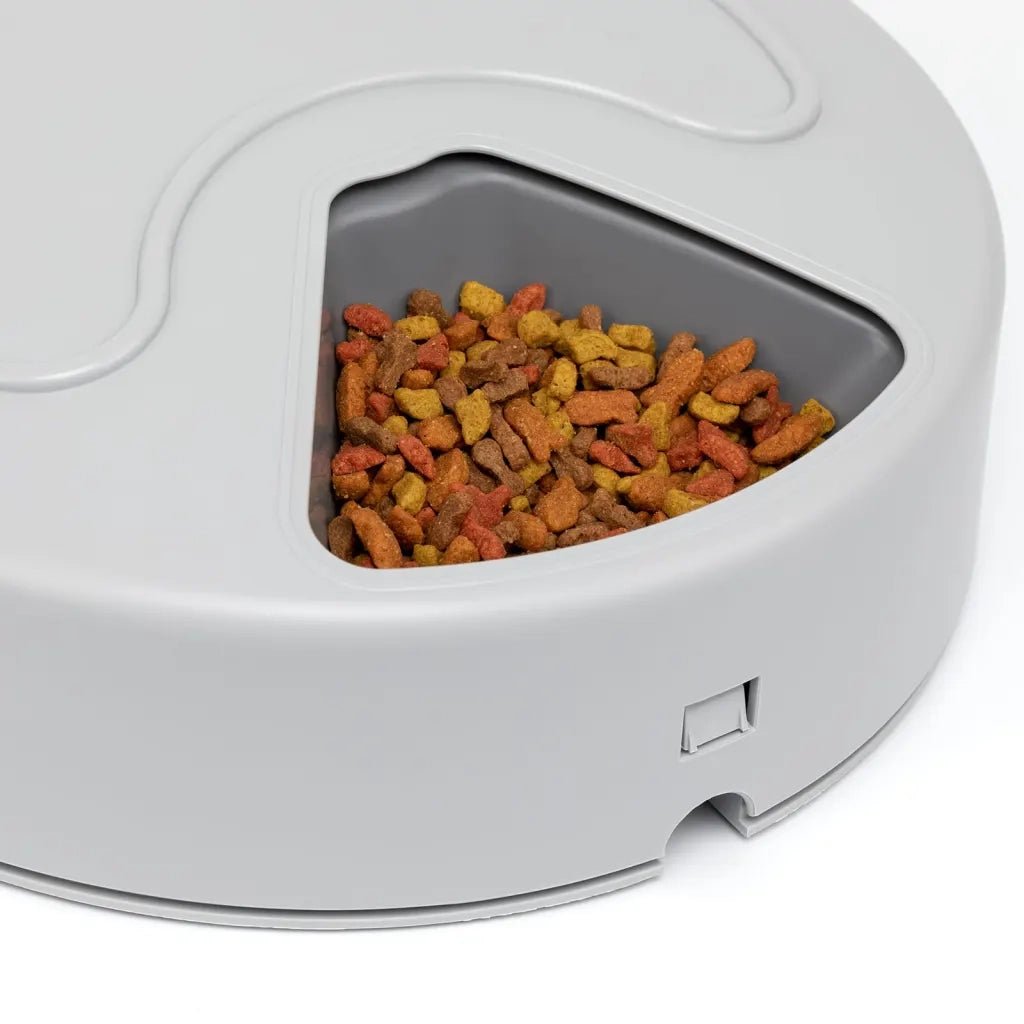 PetSafe Dispensatore di 5 Pasti per Animali Eatwell con Timer Grigio 444458