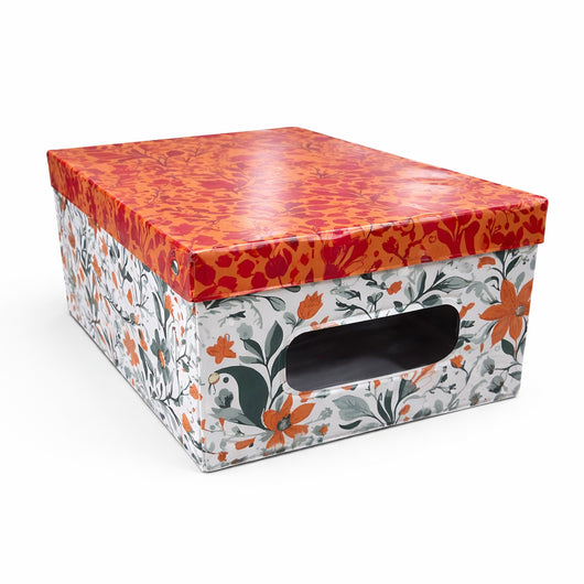 Kit 4pz Scatole Box Sistemazione Armadio in PVC Pieghevole 50x39 H24cm Col.Ass