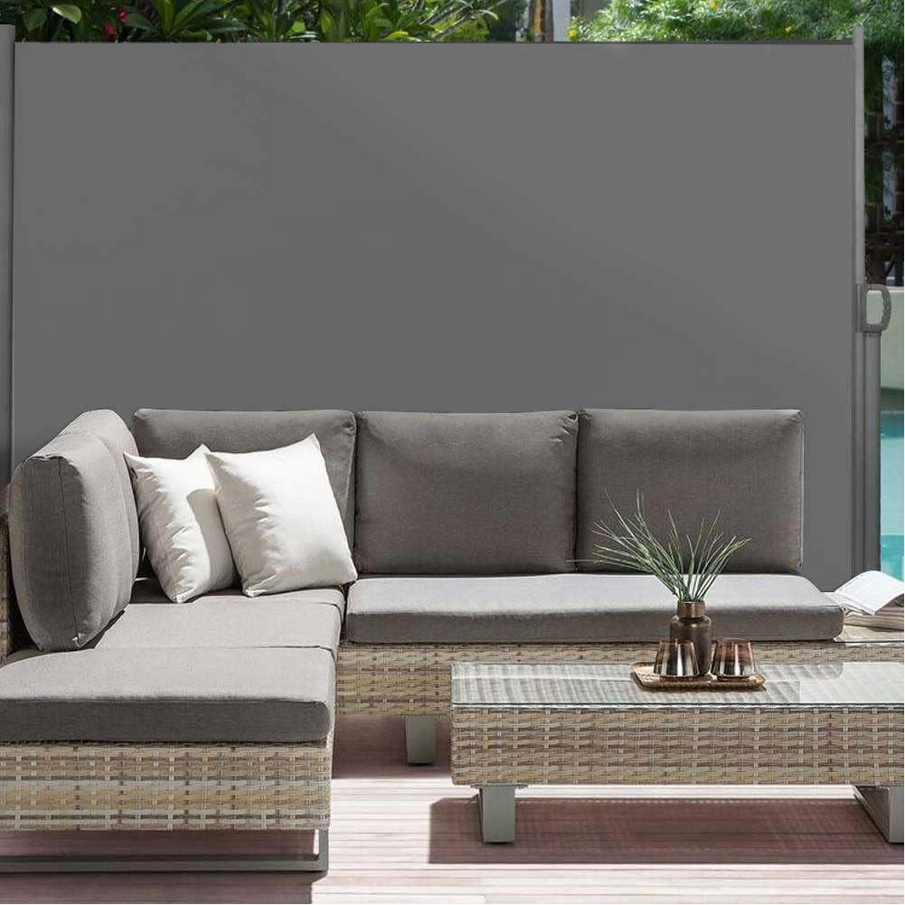 Tenda Sole Laterale Retrattile 1.8x3 Metri Telo Frangivista Avvolgibile Grigio