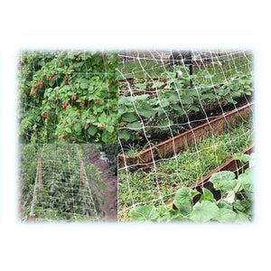 RETE BRIXO ORTONET H119       RT. ML1000