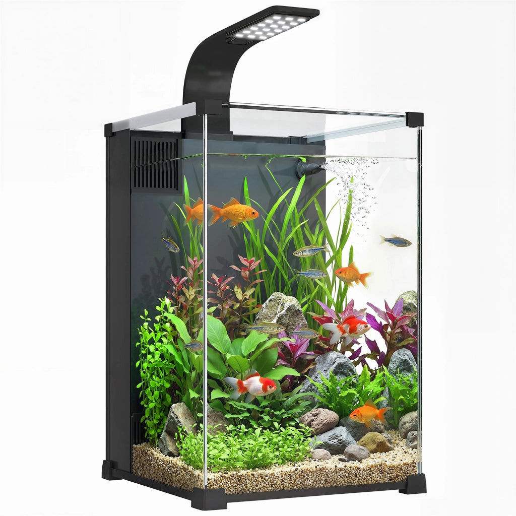 Acquario Casalingo da 36L in Vetro Temperato con Filtro Integrato e Luce LED, 30x30x45.5 cm, Nero