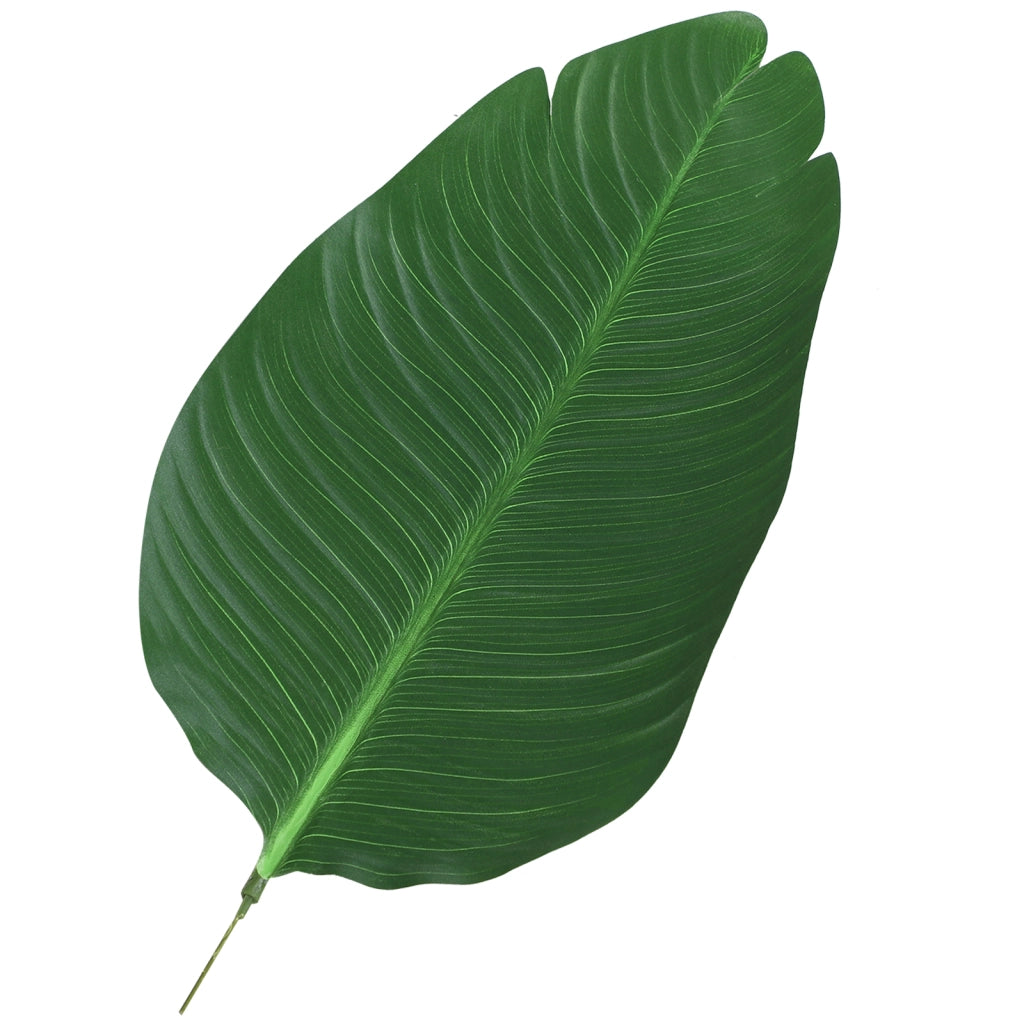 Palma Artificiale Decorativa con Vaso ¨C zephmum ¨C Verde ?15x120 cm