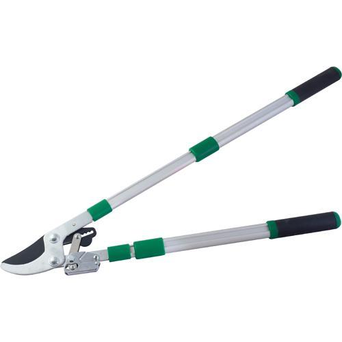 RICAMBIO TAGLIARAMI (89597) PAPILLON    MOLLE