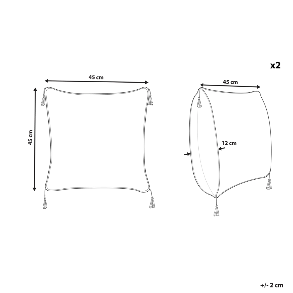 Set di 2 cuscini Decorativi Pizzo Bianco Motivo Floreale 45 x 45 cm con Nappe Accessori Decorativi