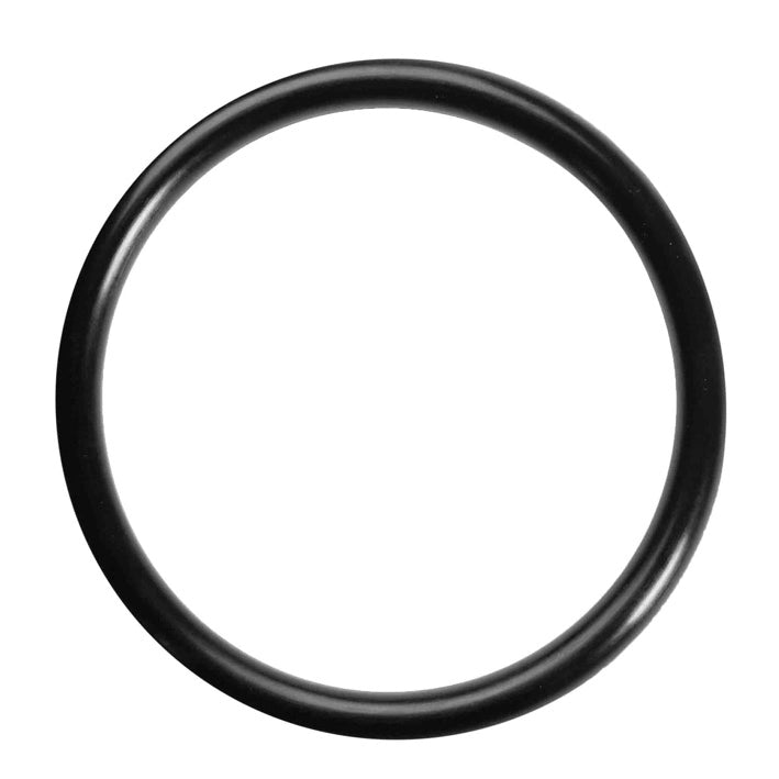 ANELLO O-RING Ø 19,8x3,6 mm - Confezione 100 pezzi