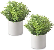 Pianta di Buxus Artificiale Mini in Vaso di Plastica per Decorazione di Casa e Ufficio con Foglie Verdi
