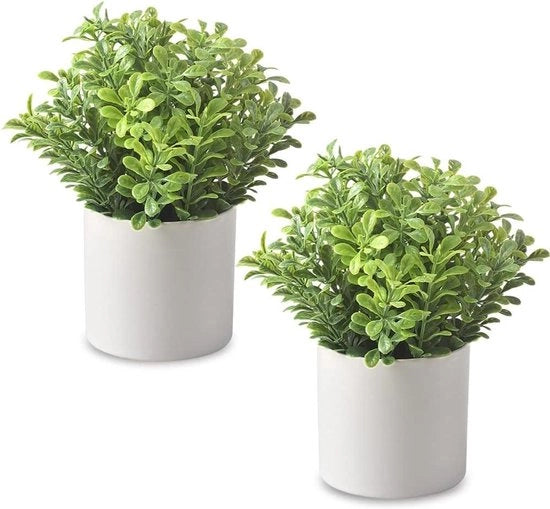 Pianta di Buxus Artificiale Mini in Vaso di Plastica per Decorazione di Casa e Ufficio con Foglie Verdi