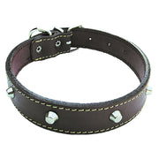 COLLARE PER CANE larg. mm 25 lung. cm 55- 6 pezzi  - BricoGo