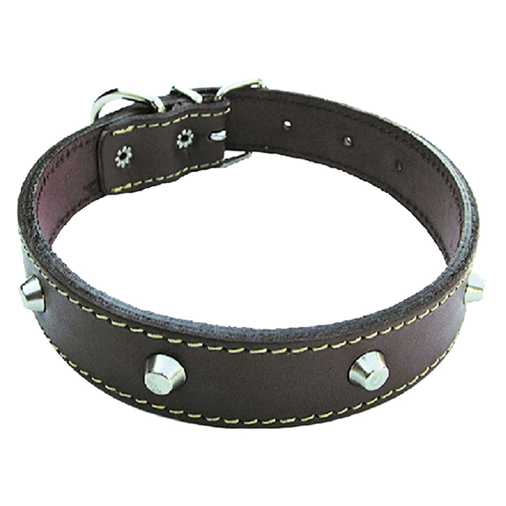 COLLARE PER CANE larg. mm 25 lung. cm 55- 6 pezzi  - BricoGo