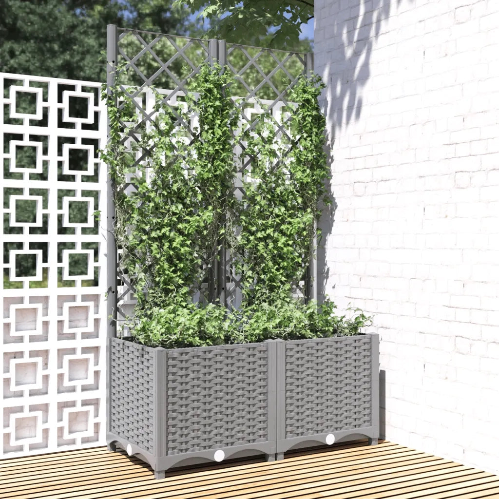 Fioriera | Cassetta per fiori | Vaso da Giardino con Graticcio Grigio Chiaro 80x40x136cm PP