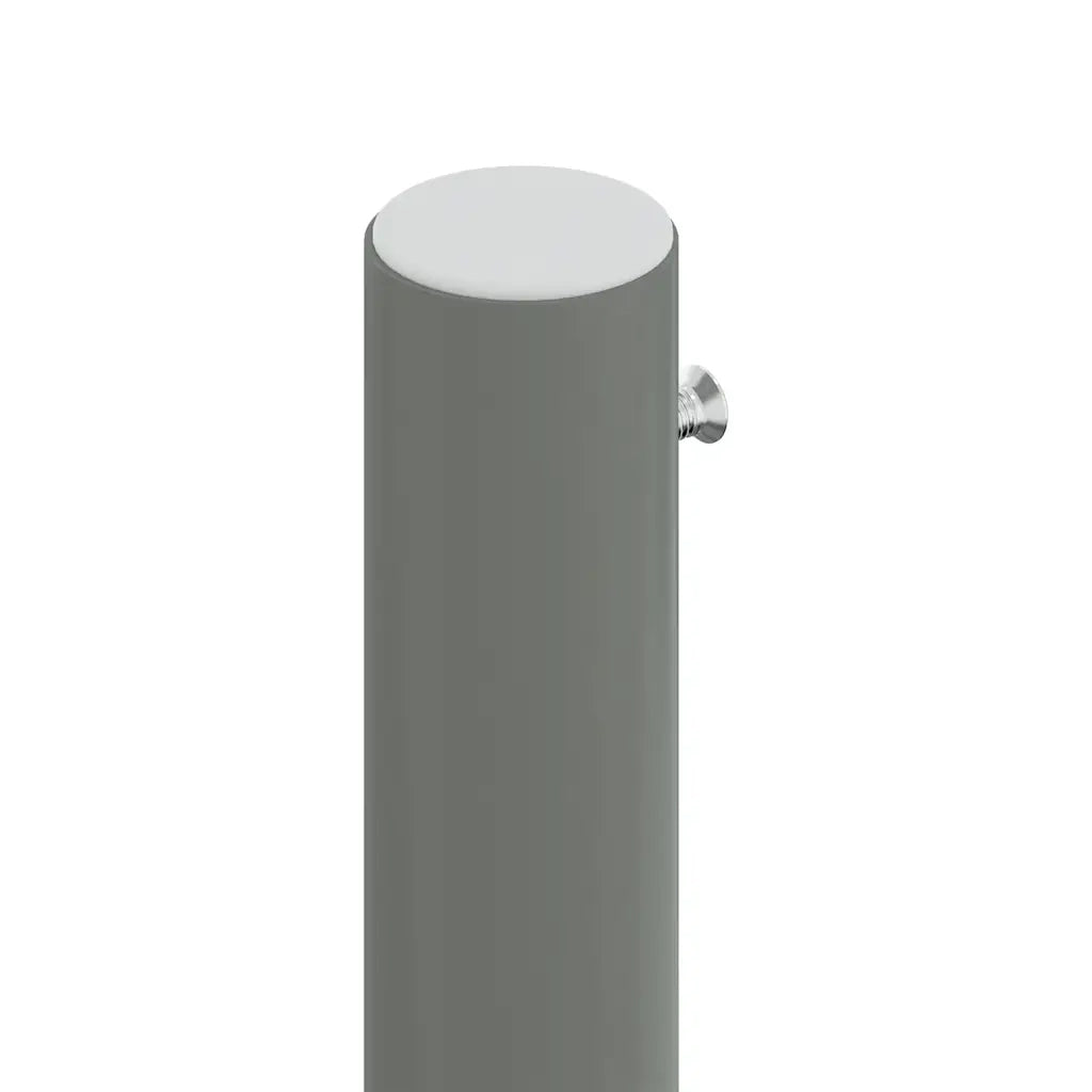 Tenda da Sole Laterale Retrattile Rossa 220x1000 cm 318053