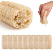 Spongia a Loofah 10 pezzi - Spongia Naturale - Spongia per la Peeling - Spongia per l'Affusso - Spongia per il Bagno - Spongia Biologica Riciclabile