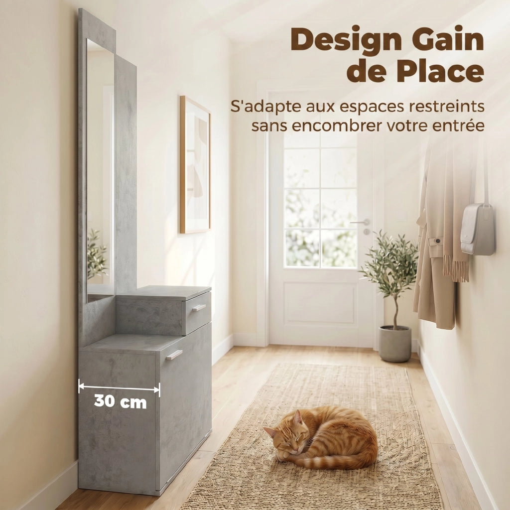 Ensemble meuble d'entrée avec Miroir, Tiroir 61 x 30 x 170 cm Gris