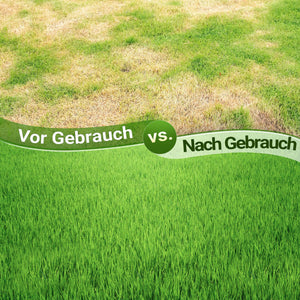 Arieggiatore prato a dischi, 44 x 20,3 x 100 cm cm manuale, con ripiano porta pesi, Aeratore prato giardino