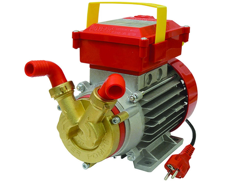 ELETTROPOMPA IN BRONZO BISENSO DA TRAVASO ROVER 20 CE    ROVER