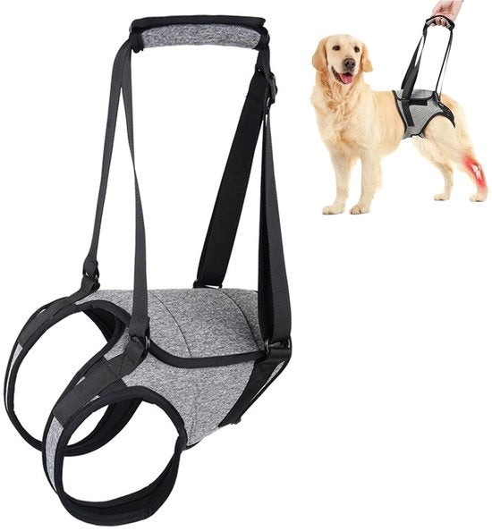 Cinturone per cani adattabile - Aiutare a trainare per cani - Cinturone antitrascinamento - Adatto per cani grandi - Materiale: poliestere - Larghezza collo 62-76 cm - Attrezzo per cani