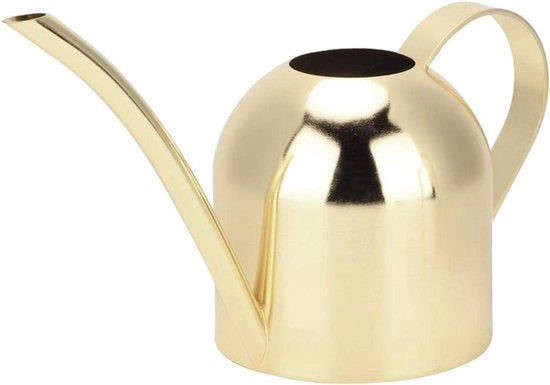 Mini giocatore da giardino in acciaio inossidabile da 500 ml con beccuccio lungo per piante da interni ed esterni