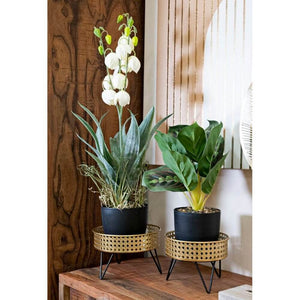 Coppia Vasi Eleganti cm Ø 20,5X13 - 18X13 - BOSSYOPPIA