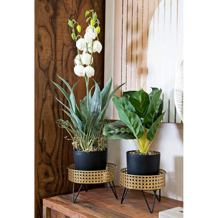 Coppia Vasi Eleganti cm Ø 20,5X13 - 18X13 - BOSSYOPPIA